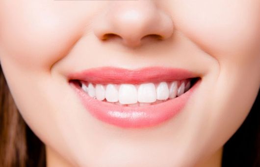 Periodontic